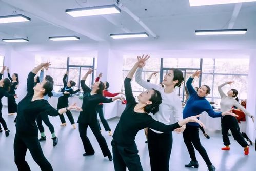 文藝賦美 公益課程 攝影活動 民俗文化...體驗(yàn)藝術(shù)之旅