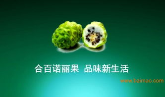 福州企業(yè)宣傳片制作 產(chǎn)品形象片拍攝 專業(yè)制作 找晟視傳媒公司,福州企業(yè)宣傳片制作 產(chǎn)品形象片拍攝 專業(yè)制作 找晟視傳媒公司生產(chǎn)廠家,福州企業(yè)宣傳片制作 產(chǎn)品形象片拍攝